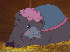 dumbo 1 قائمة